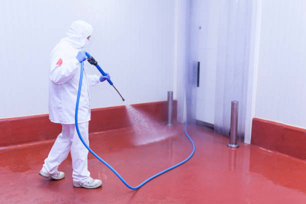 Best Sidewalk and Walkway Cleaning  in Grand Terrace, CA